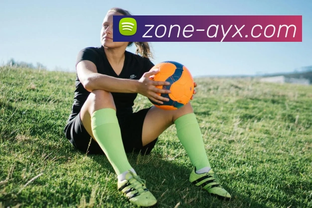 爱游戏服务体系